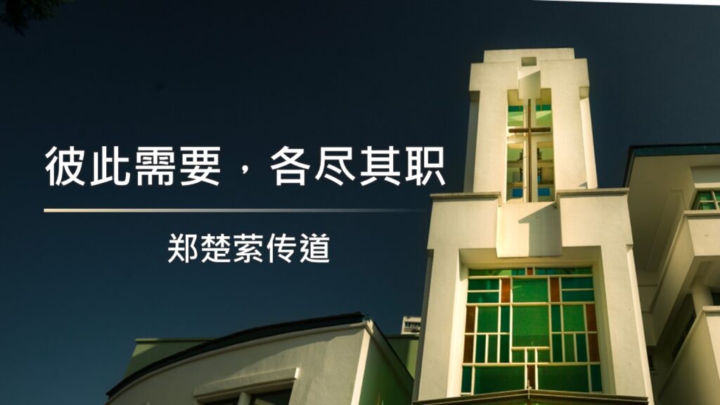 彼此需要，各尽其职