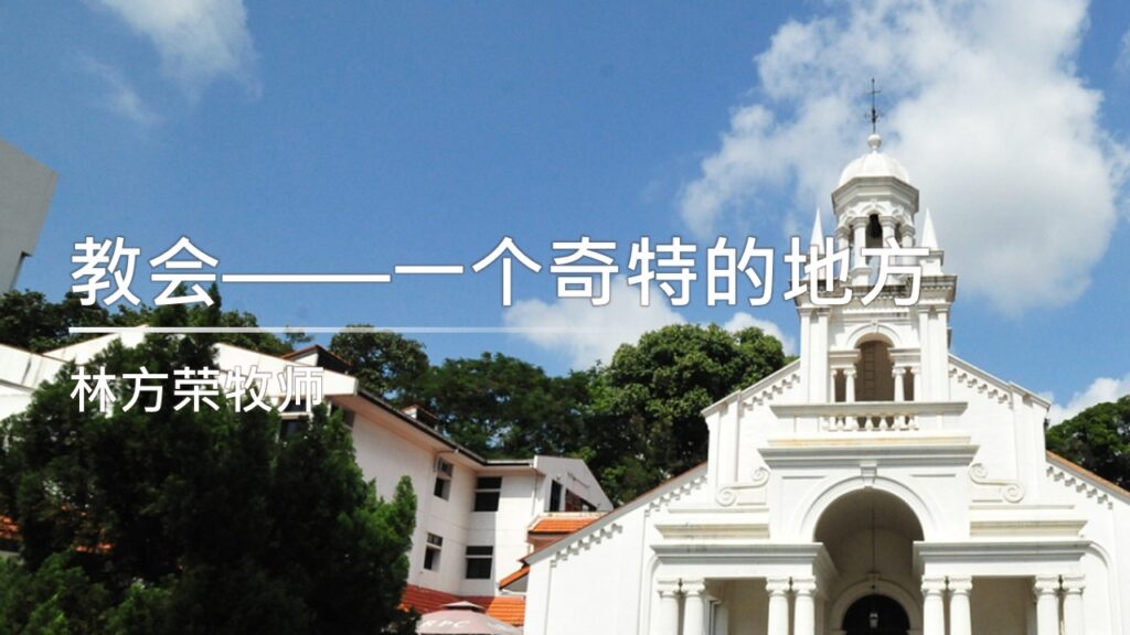 教会——一个奇特的地方